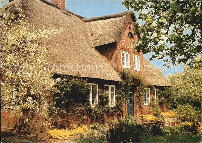 Amrum Schoenes Friesenhaus