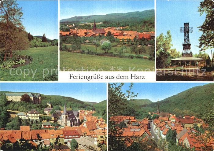 Netzkater Neustadt Josephshoehe bei Stolberg Ilfeld-Wiegersdorf