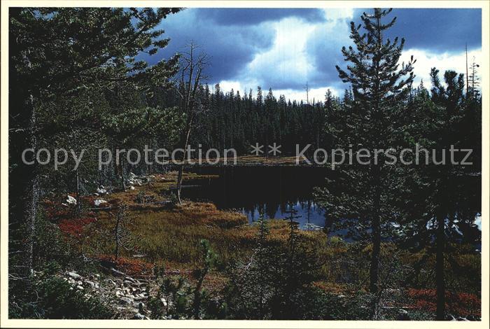 Utah US-State Lily-Lake Uinta Mountains Utah