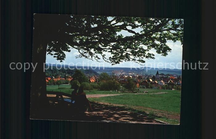 Braunlage Harz Panorama