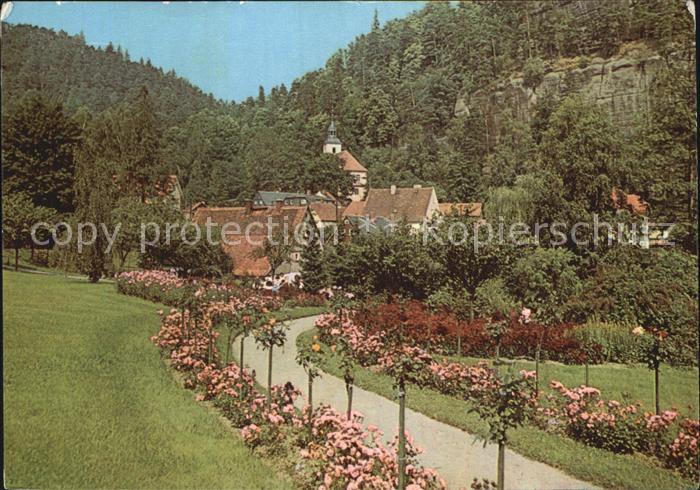 Oybin Sachsen Kurpark