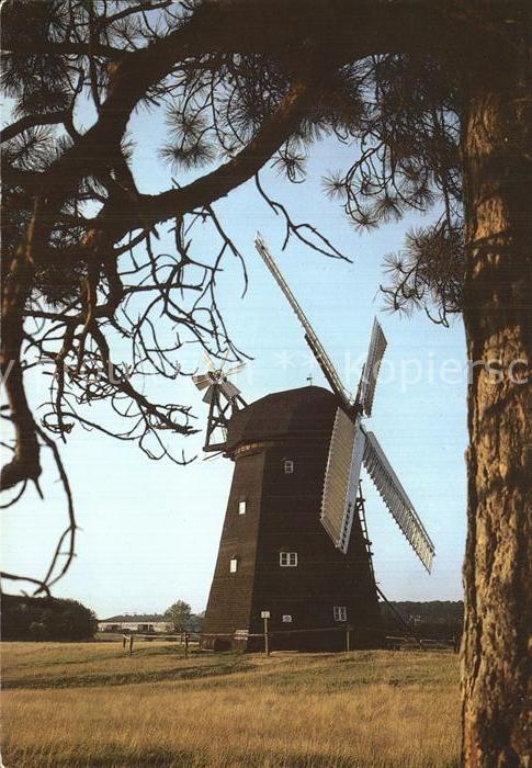 Alt Schwerin Erdhollaendermuehle