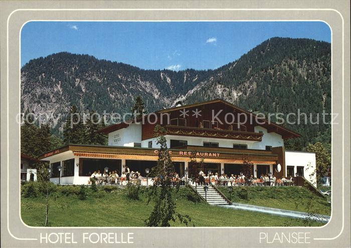 Plansee Hotel Forelle Terrasse