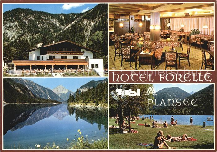 Plansee Hotel Forelle Gastraum Seeblick Liegewiese