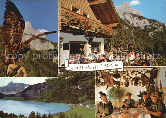 Haller Tirol Gasthaus Adlerhorst Terrasse Haldensee Gaststube
