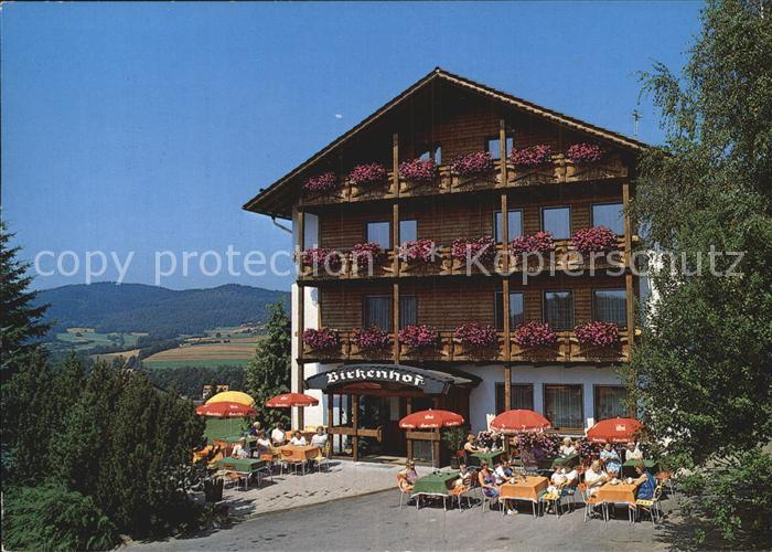 Grafenwiesen Hotel Pension Birkenhof Terrasse