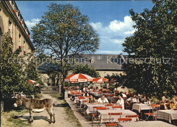 Gattendorf Oberfranken Hotel Restaurant Schloss Gattendorf Terrasse Esel