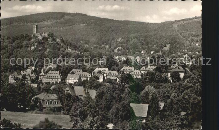 Koenigstein Taunus Panorama mit Burg