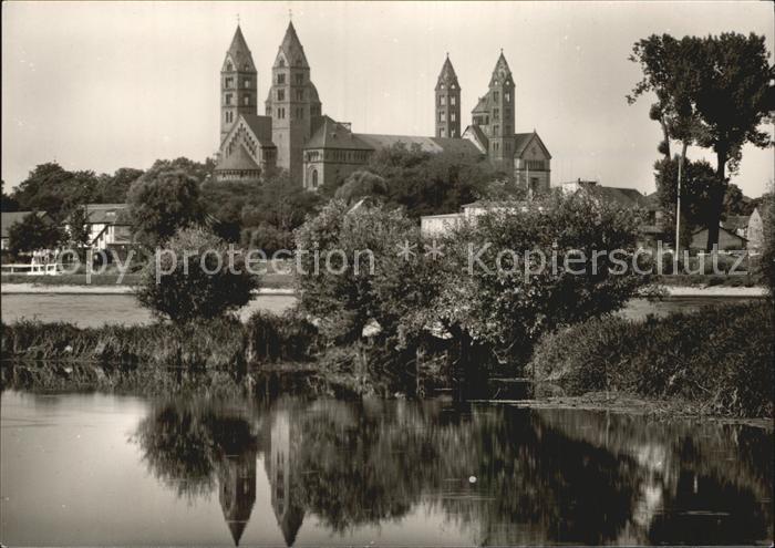 Speyer Rhein mit Domblick