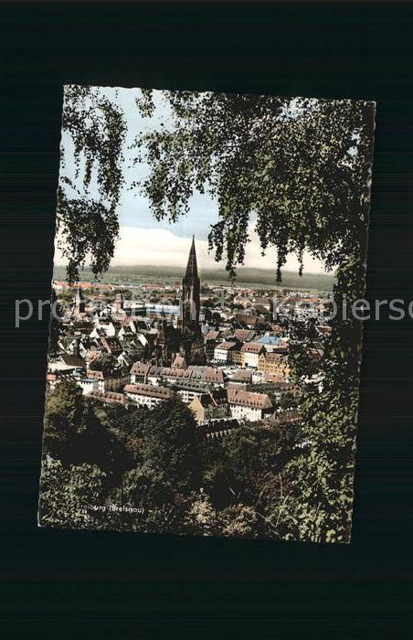 Freiburg Breisgau Panorama mit Muenster