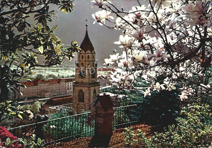Merano Meran Kirche Baumbluete