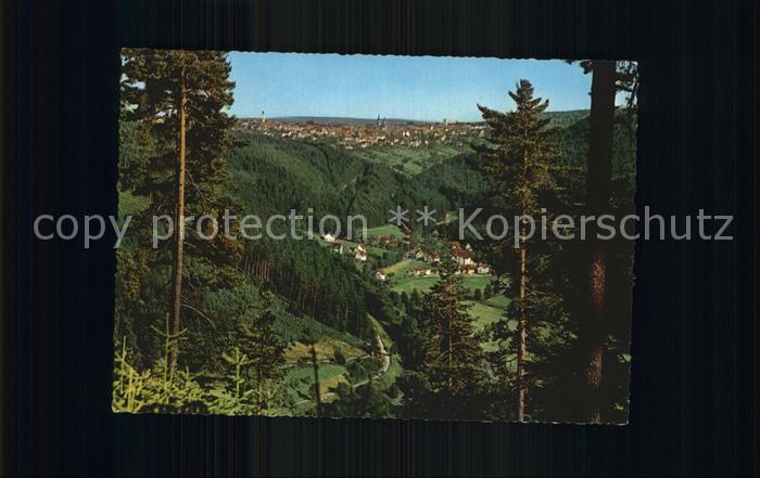 FREUDENSTADT BW Blick vom Friedrichstal