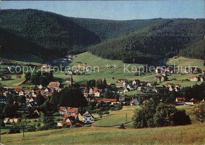 Mitteltal Schwarzwald Panorama