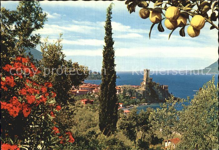 Malcesine Lago di Garda Panorama