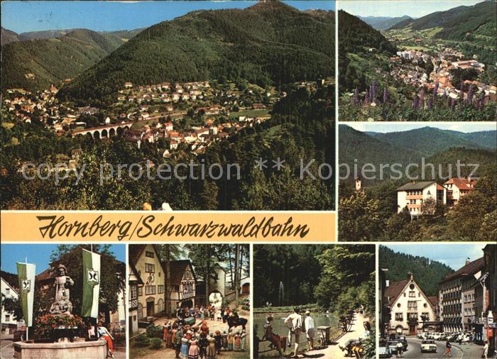 Hornberg Schwarzwald Gesamtansicht Brunnen Park Weiher