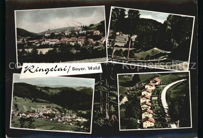 Ringelai Fliegeraufnahme Panorama