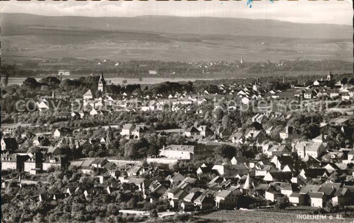 Ingelheim Rhein Panorama