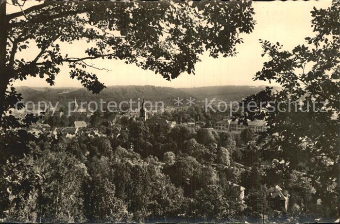 Waldheim Sachsen Panorama