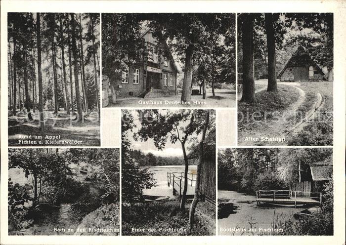 Appel Fichten und Kieferwaelder Gasthaus Deutsches Haus Alter Schafstall Bach Fi
