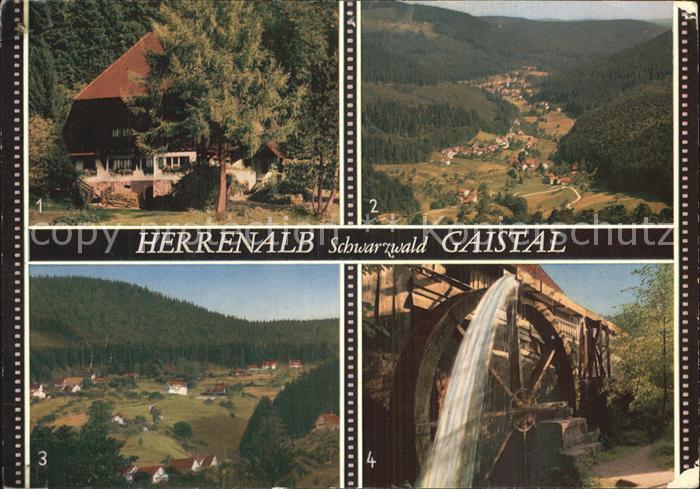 Herrenalb Bad Herrenalb Schwarzwaldhaus Blick vom Schweitzerkopf Oberes Gaistal