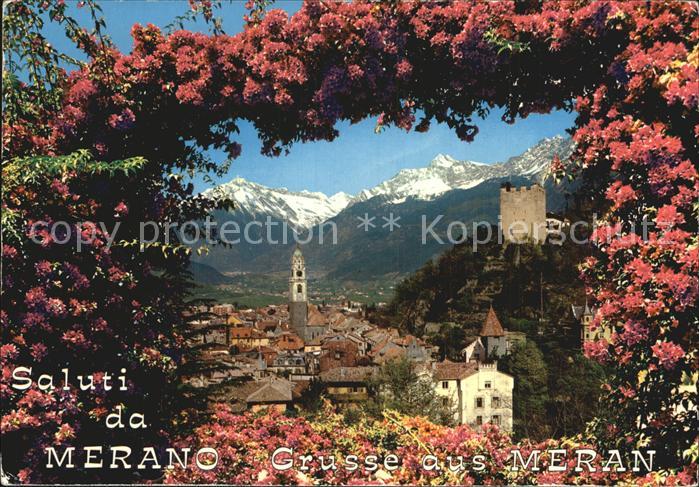Merano Meran Panorama