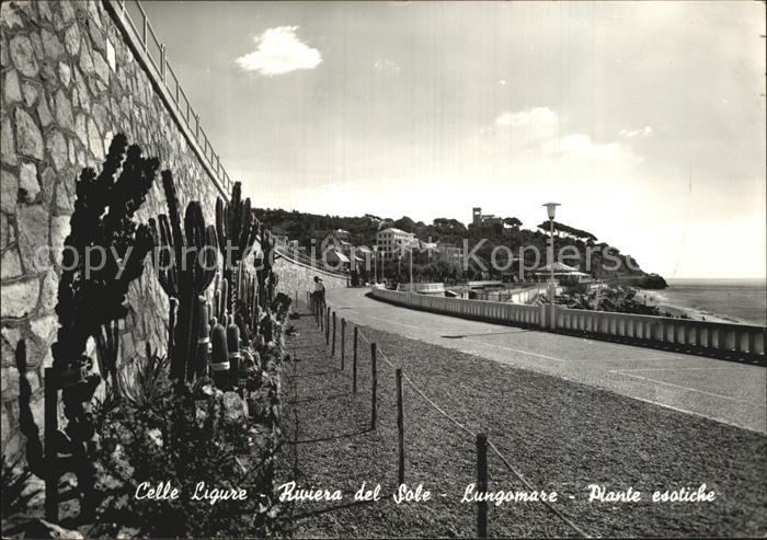 Celle Ligure Seepromenade mit exotischen Pflanzen