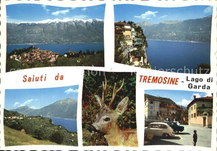 Tremosine Lago di Garda Panorama Dorfmotive Rehbock