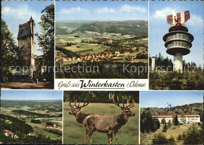 Winterkasten Lindenfels Turm Panorama Radarturm Hirsche