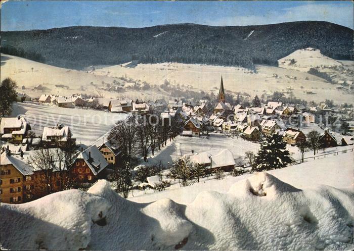 Baiersbronn Schwarzwald Panorama