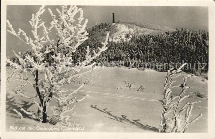 Geising Erzgebirge Blick auf den Geisingberg Winterpanorama