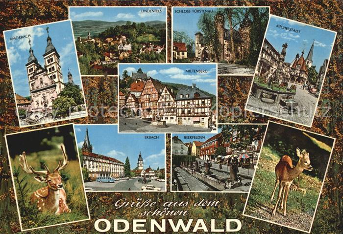 Odenwald Verschiedene Staede der Region Rehkitz Wild