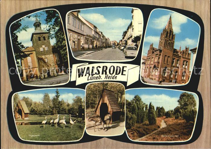 Walsrode Lueneburger Heide Teilansichten Turm Kirche Vogelpark Heidelandschaft