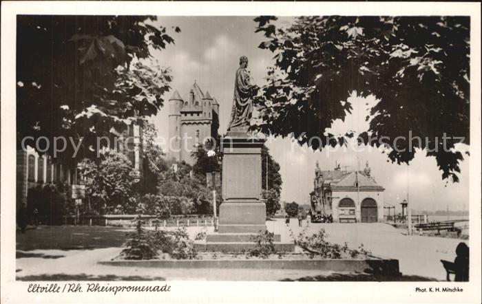Eltville Rhein Rheinpromenade