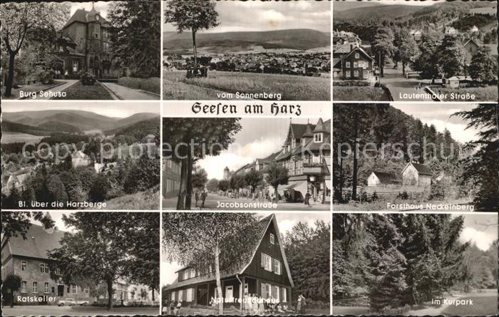 Seesen Harz Burg Sehusta Ratskeller Kurpark