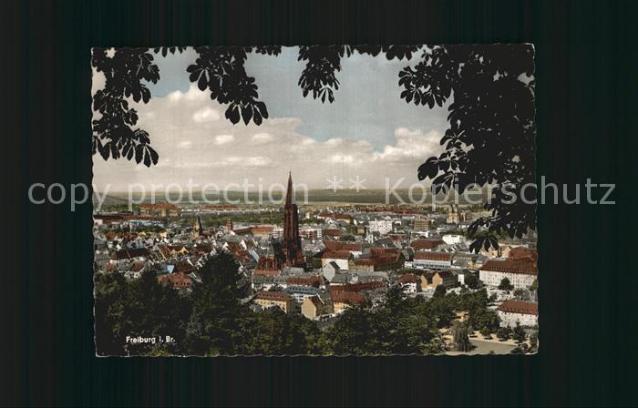 Freiburg Breisgau Muenster