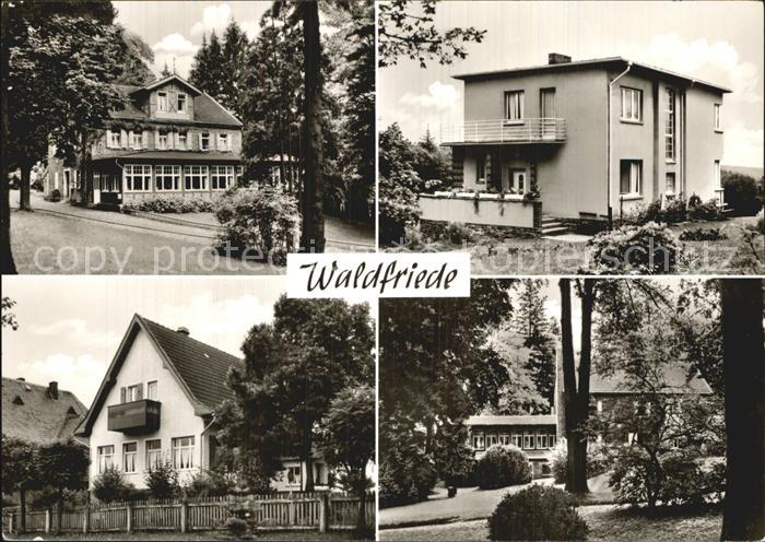 Waldfriede Hattgenstein Berghotel Waldfriede