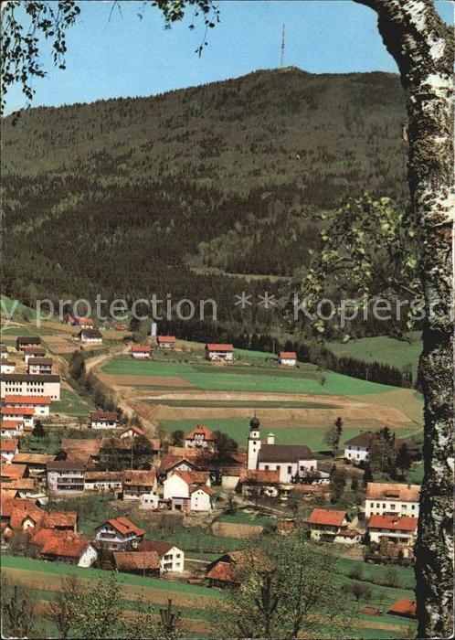Rimbach Bayrischer Wald Hohenbogen