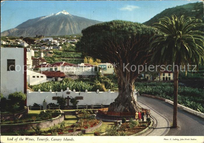 Icod de los Vinos Tenerife