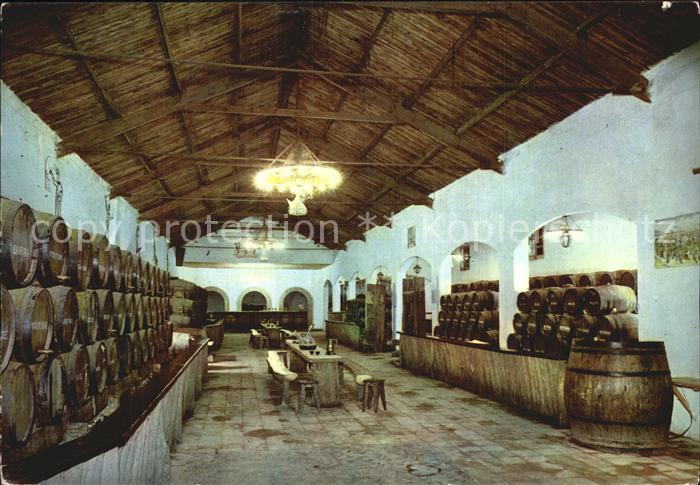 Llagostera Bodegas Ramiro Weinkeller