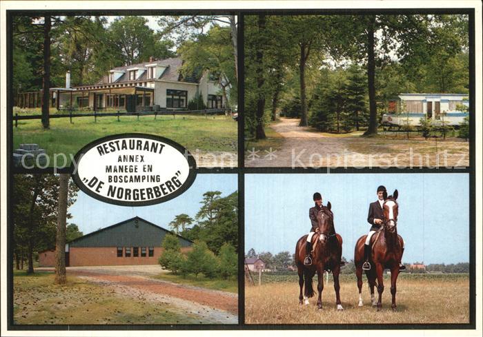 Norg Restaurant De Norgerberg Camping Nota Reitsport Pferde