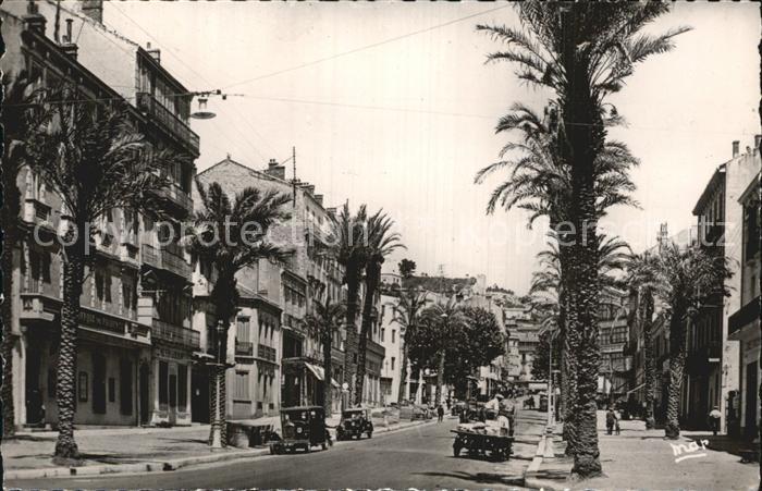 Hyeres les Palmiers Avenue Beauregard