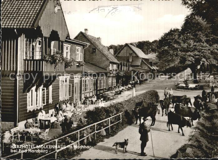 Bad Harzburg Harzhotel Molkenhausen