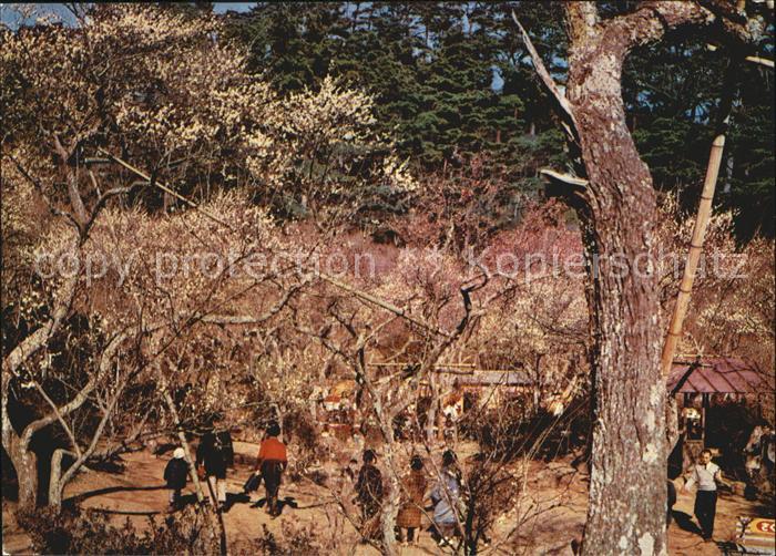 Atami Baien