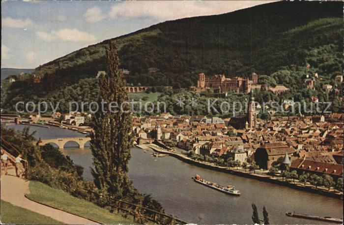 Alt Heidelberg Neckar Panorama Blick vom Philosophenweg