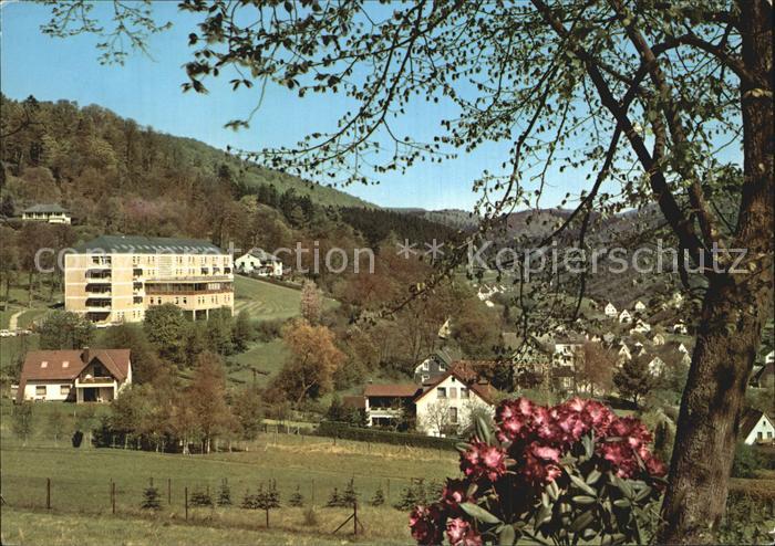 Laasphe BAD LAASPHE NRW Kneipp Heilbad Luftkurort Wittgensteiner land