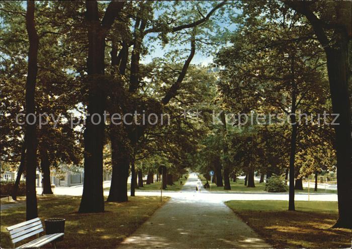 Arolsen Bad Grosse Allee Ferienland Waldeck