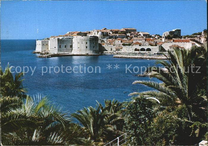 Dubrovnik Ragusa Panorama Festung Altstadt