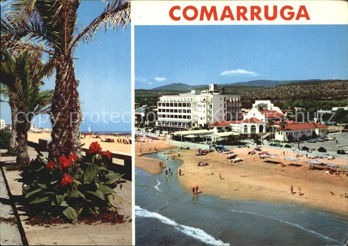 Comarruga Playa Strand Hotel Palmen