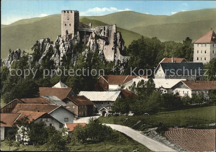 Weissenstein Regen Ortsansicht mit Burgruine