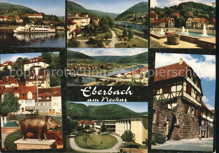 Eberbach Neckar Brunnen Schiff Schweinskulptur